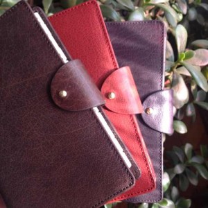 Picture taken from the web of the Filofax Charleston colours.
